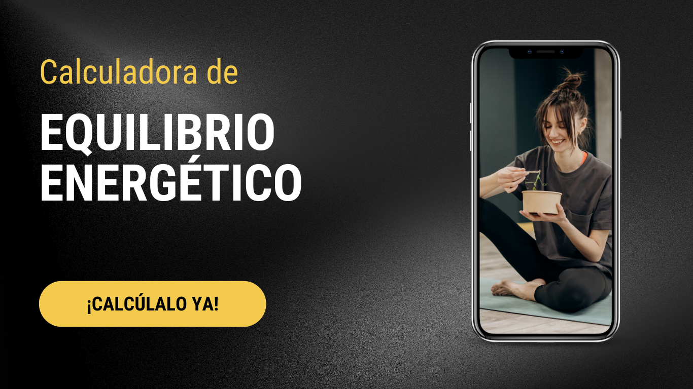 Calculadora de equilibrio energético