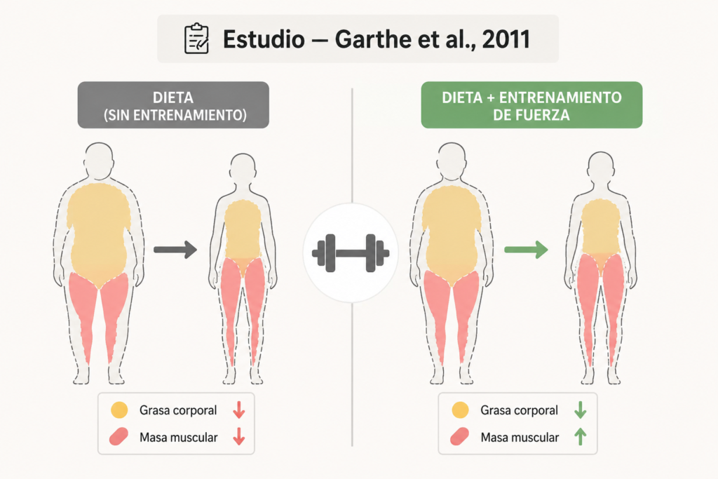 fuerza para mantener masa muscular