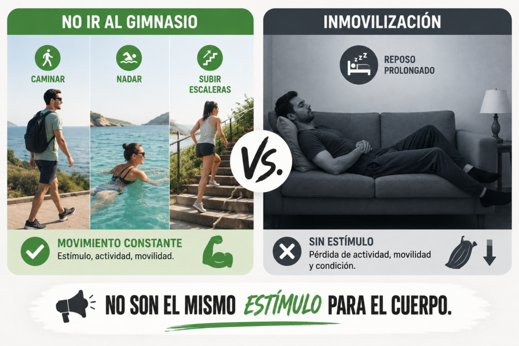 Diferencia entre no entrenar e inmovilización